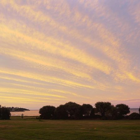 Discovery Parks - Devonport Eksteriør billede